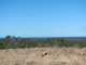 Photo - Lot 150 Capricornia Drive, Deepwater QLD 4674 - Image 21