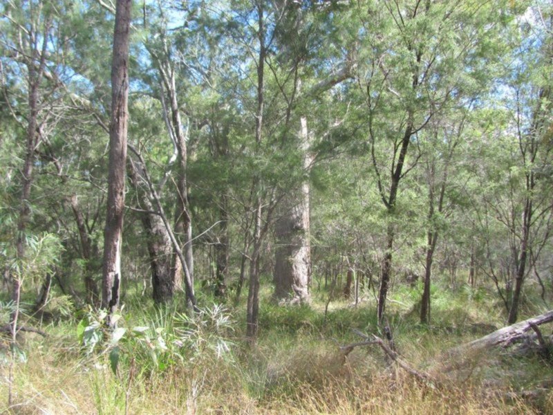 Photo - Lot 150 Capricornia Drive, Deepwater QLD 4674 - Image 23