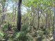 Photo - Lot 150 Capricornia Drive, Deepwater QLD 4674 - Image 24