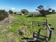 Photo - Lot 151 & 152B Rosedale-Flynns Creek Road, Rosedale VIC 3847 - Image 8