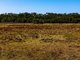 Photo - Lot 151 Coventry Road, Cape Upstart , Guthalungra QLD 4805 - Image 16