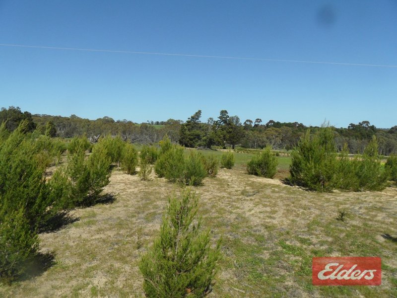 Photo - Lot 152 Pimpala Road, Sandy Creek SA 5350 - Image 11