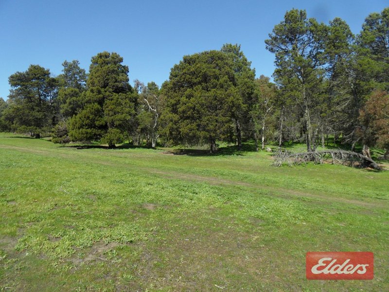 Photo - Lot 152 Pimpala Road, Sandy Creek SA 5350 - Image 15