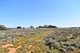 Photo - Lot 153 Keeley Road, Port Germein SA 5495 - Image 5