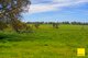 Photo - Lot 1537 Fisher Road, Mount Barker WA 6324 - Image 2