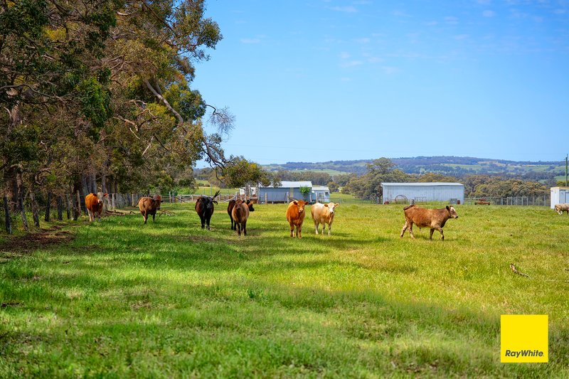 Photo - Lot 1537 Fisher Road, Mount Barker WA 6324 - Image 20