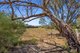 Photo - Lot 156 17 First Street, Curramulka SA 5580 - Image 3