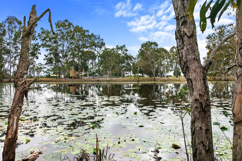 Photo - Lot 157 National Park Drive, Burrum Heads QLD 4659 - Image 35