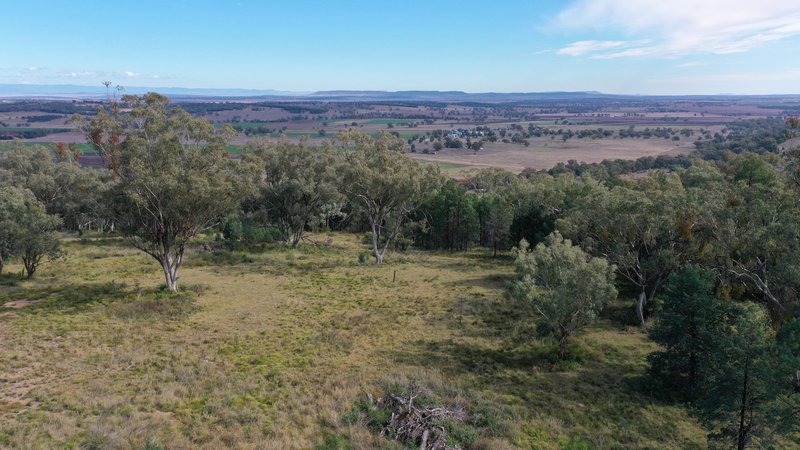 Photo - Lot 16 73 Ray Carter Drive, Quirindi NSW 2343 - Image 7