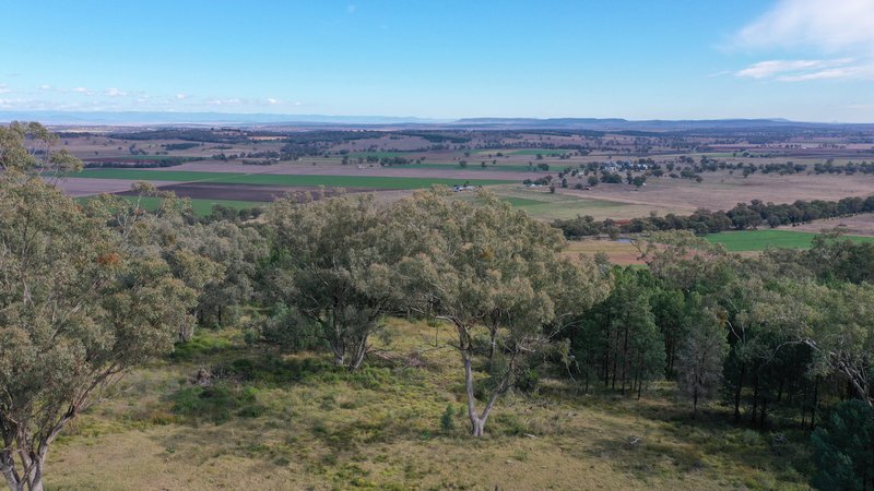 Photo - Lot 16 73 Ray Carter Drive, Quirindi NSW 2343 - Image 8