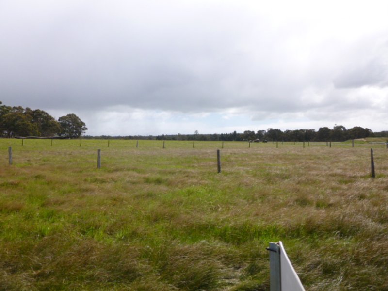 Photo - Lot 16 Frankland/Cranbrook Road, Frankland River WA 6396 - Image 3