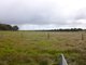 Photo - Lot 16 Frankland/Cranbrook Road, Frankland River WA 6396 - Image 3