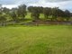 Photo - Lot 16 Joshua Creek Road, Crooked Brook WA 6236 - Image 6