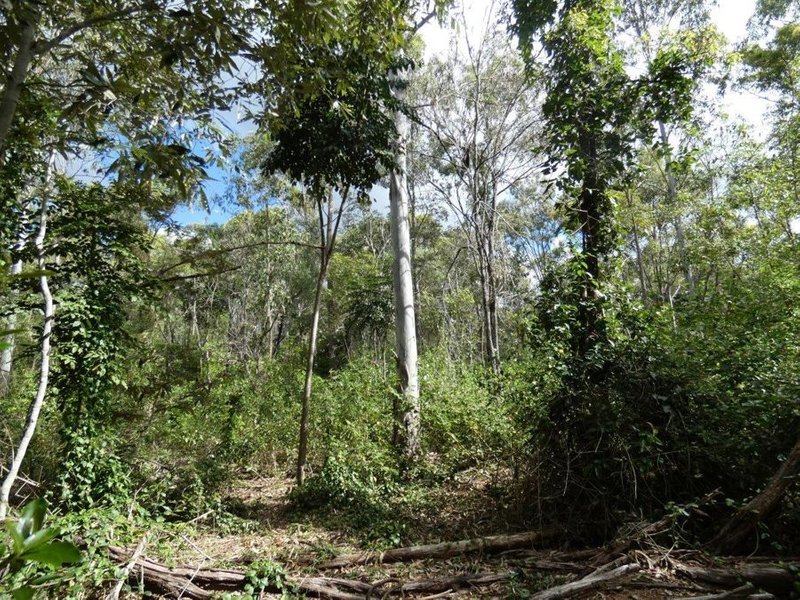 Photo - Lot 16 Mackellor Road, Lowmead QLD 4676 - Image 8