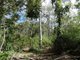 Photo - Lot 16 Mackellor Road, Lowmead QLD 4676 - Image 8