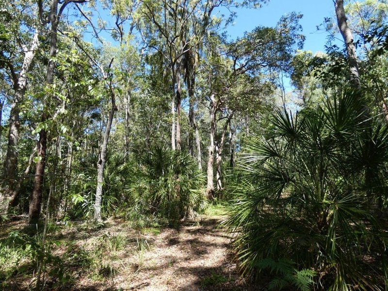 Photo - Lot 16 Mackellor Road, Lowmead QLD 4676 - Image 9