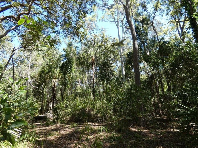 Photo - Lot 16 Mackellor Road, Lowmead QLD 4676 - Image 11