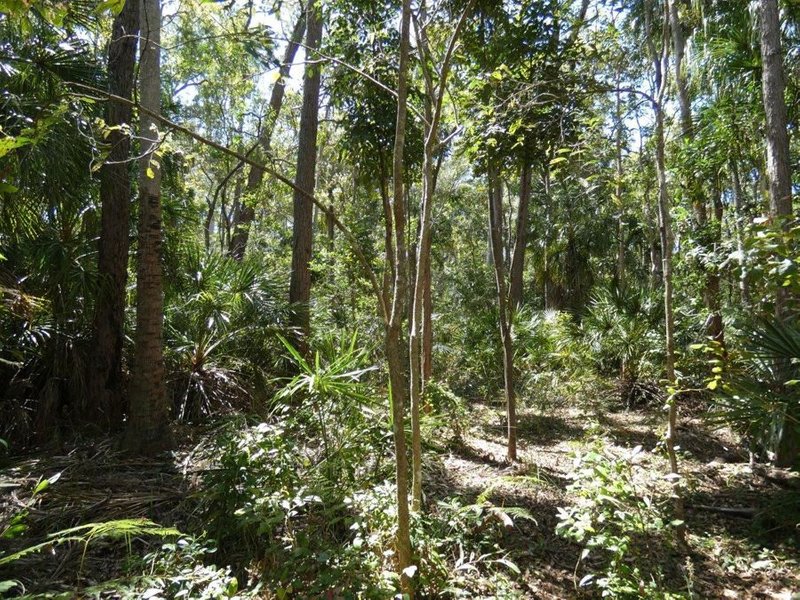 Photo - Lot 16 Mackellor Road, Lowmead QLD 4676 - Image 12