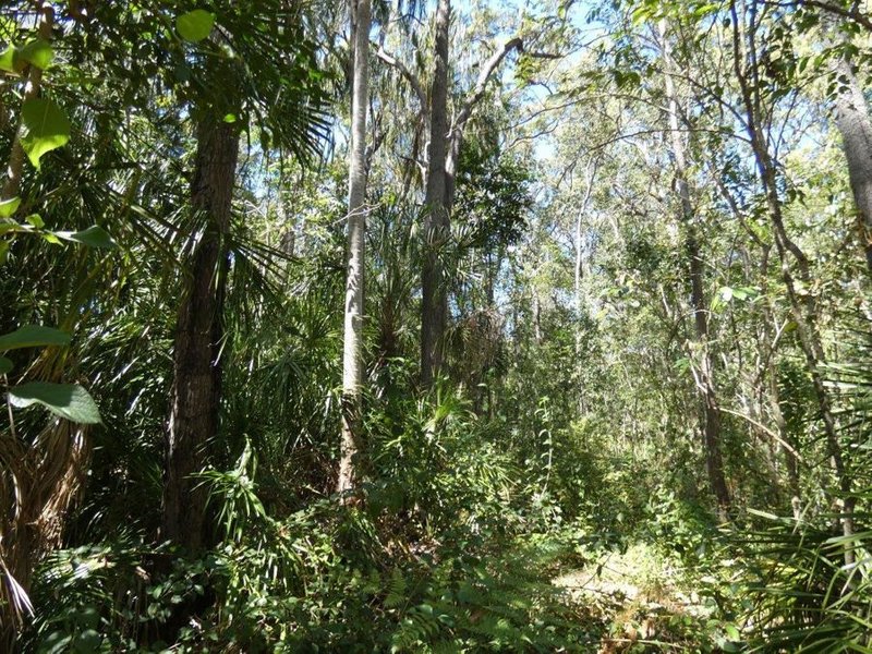 Photo - Lot 16 Mackellor Road, Lowmead QLD 4676 - Image 16