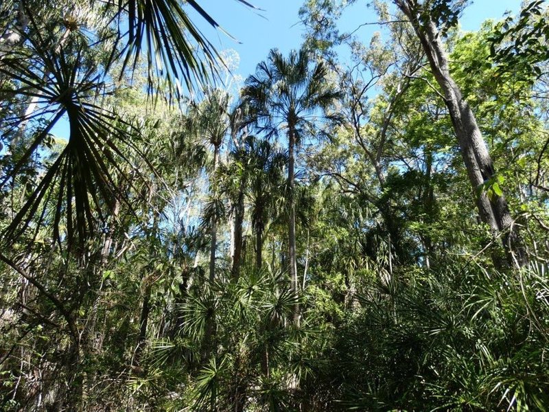 Photo - Lot 16 Mackellor Road, Lowmead QLD 4676 - Image 20