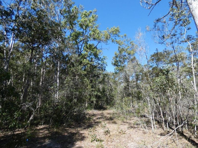 Photo - Lot 16 Mackellor Road, Lowmead QLD 4676 - Image 22