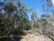 Photo - Lot 16 Mackellor Road, Lowmead QLD 4676 - Image 22