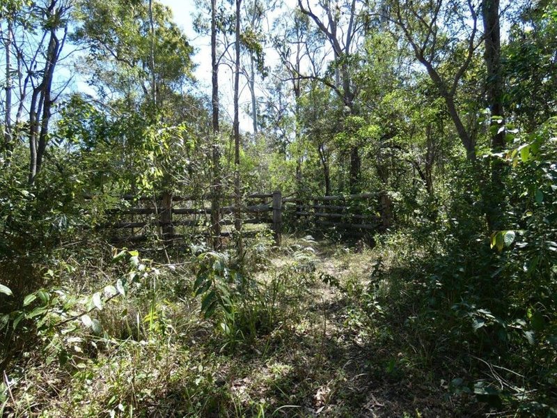 Photo - Lot 16 Mackellor Road, Lowmead QLD 4676 - Image 23