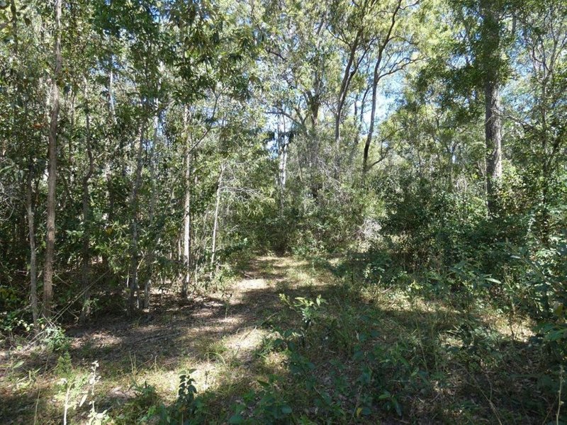 Photo - Lot 16 Mackellor Road, Lowmead QLD 4676 - Image 24