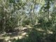 Photo - Lot 16 Mackellor Road, Lowmead QLD 4676 - Image 24