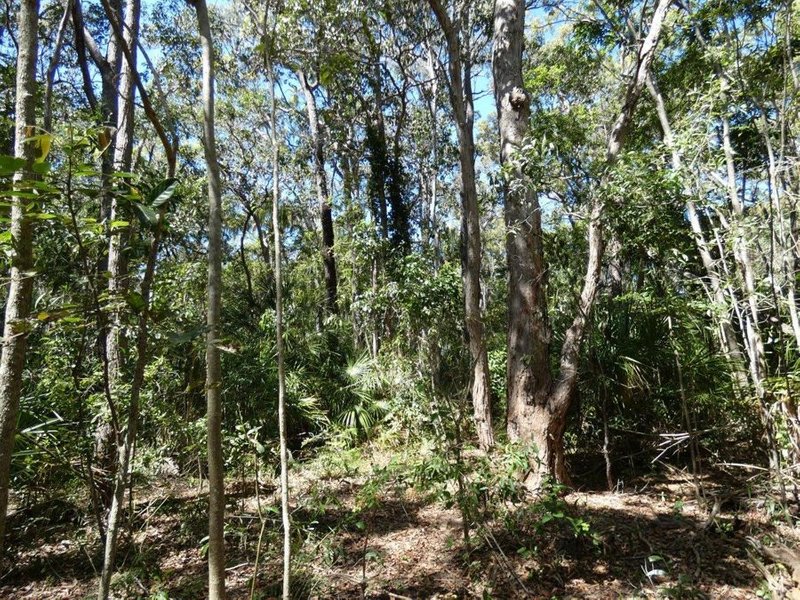 Photo - Lot 16 Mackellor Road, Lowmead QLD 4676 - Image 26