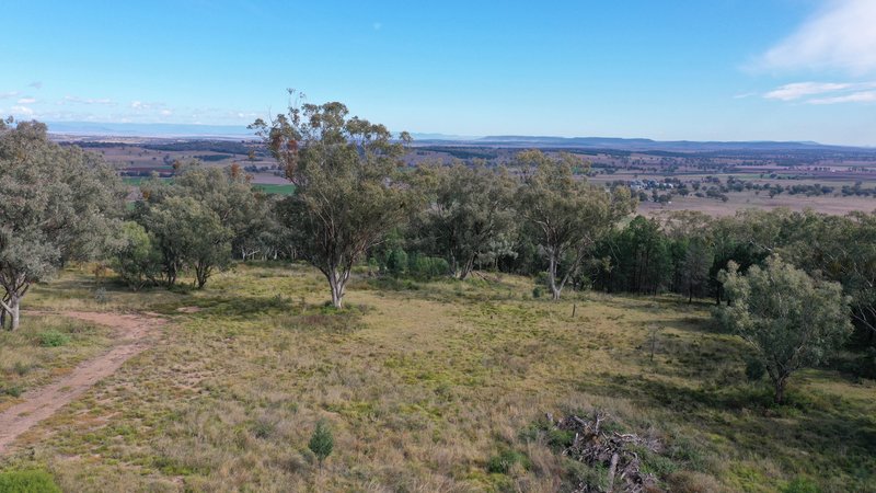 Photo - Lot 16 Ray Carter Drive, Quirindi NSW 2343 - Image 5