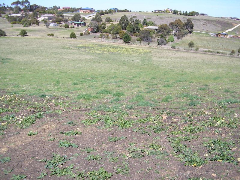 Photo - Lot 16 Valley View Close, Sorell TAS 7172 - Image 8