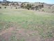 Photo - Lot 16 Valley View Close, Sorell TAS 7172 - Image 8