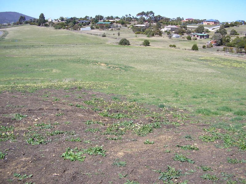 Photo - Lot 16 Valley View Close, Sorell TAS 7172 - Image 10