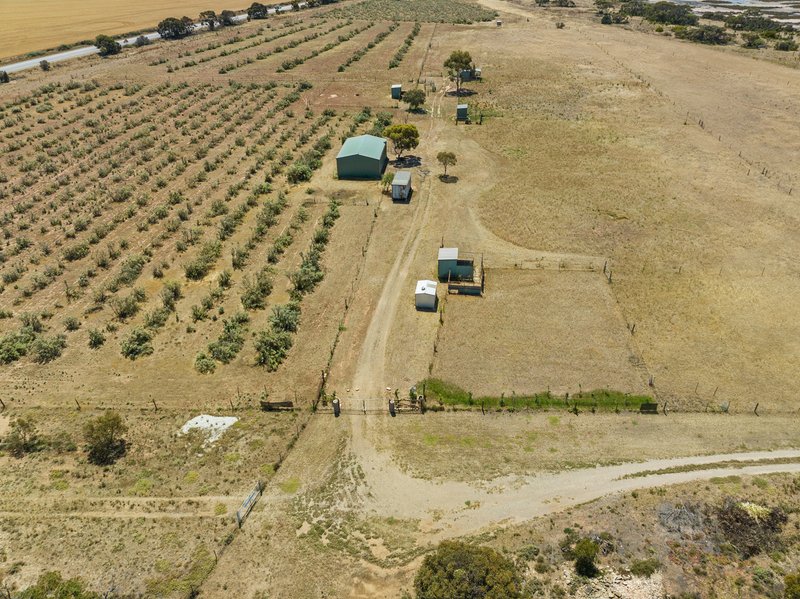 Photo - Lot 16 Yorke Highway, Clinton SA 5570 - Image 9