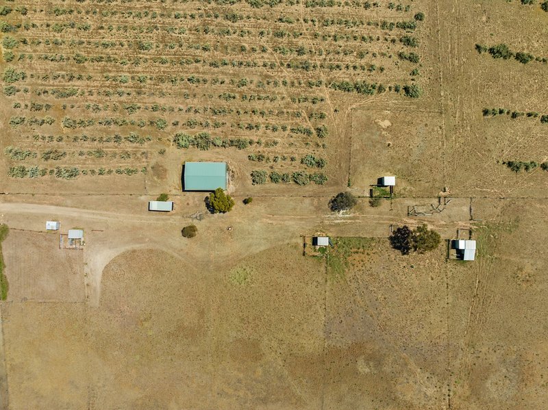 Photo - Lot 16 Yorke Highway, Clinton SA 5570 - Image 10