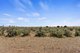 Photo - Lot 16 Yorke Highway, Clinton SA 5570 - Image 13