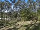 Photo - Lot 160 Arborthirtyseven Road, Glenwood QLD 4570 - Image 1