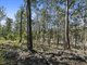 Photo - Lot 160 Arborthirtyseven Road, Glenwood QLD 4570 - Image 3