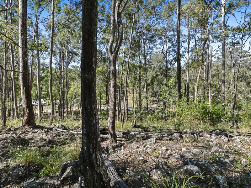 Photo - Lot 160 Arborthirtyseven Road, Glenwood QLD 4570 - Image 5