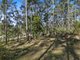 Photo - Lot 160 Arborthirtyseven Road, Glenwood QLD 4570 - Image 6