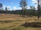 Photo - Lot 164 Baupleview Road, St Mary QLD 4650 - Image 3