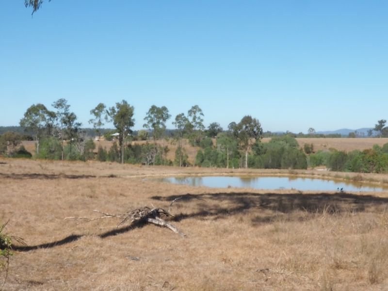 Photo - Lot 164 Baupleview Road, St Mary QLD 4650 - Image 4