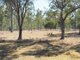 Photo - Lot 164 Baupleview Road, St Mary QLD 4650 - Image 10