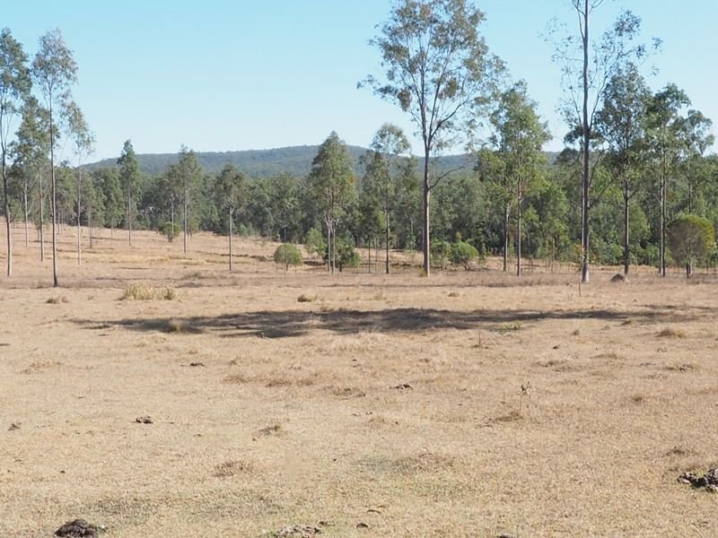 Photo - Lot 164 Baupleview Road, St Mary QLD 4650 - Image 12