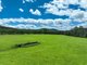 Photo - Lot 164 Paddys Flat Road, Tabulam NSW 2469 - Image 2