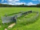 Photo - Lot 164 Paddys Flat Road, Tabulam NSW 2469 - Image 5