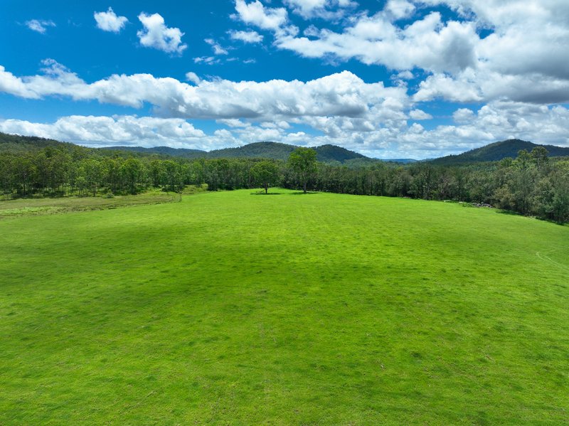 Photo - Lot 164 Paddys Flat Road, Tabulam NSW 2469 - Image 7