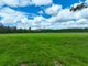 Photo - Lot 164 Paddys Flat Road, Tabulam NSW 2469 - Image 9