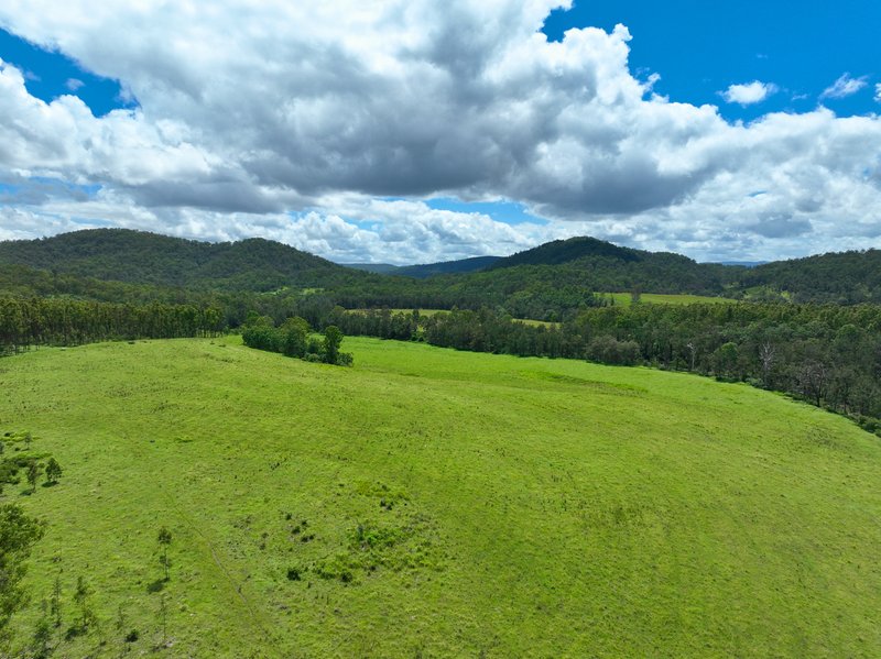 Photo - Lot 164 Paddys Flat Road, Tabulam NSW 2469 - Image 11